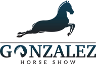Gonzalez horse show - Spectacles équestres The Dancing Horses